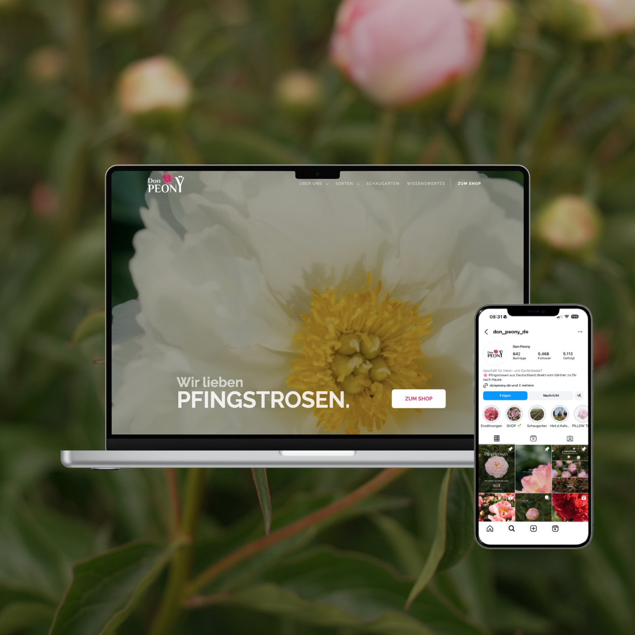 Webseite & Social Media Don Peony